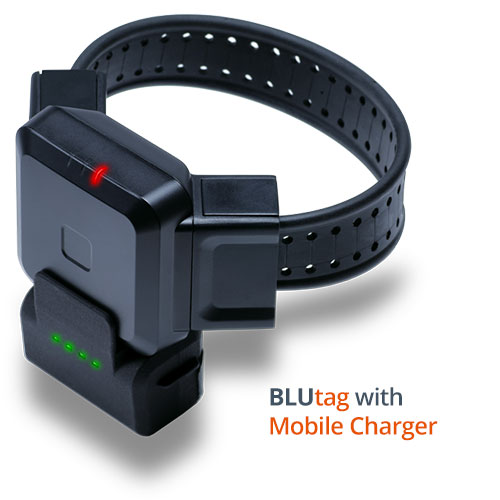 Ankle bracelet monitoring clearance devices